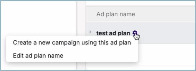 Ad Plan Summary Options.png