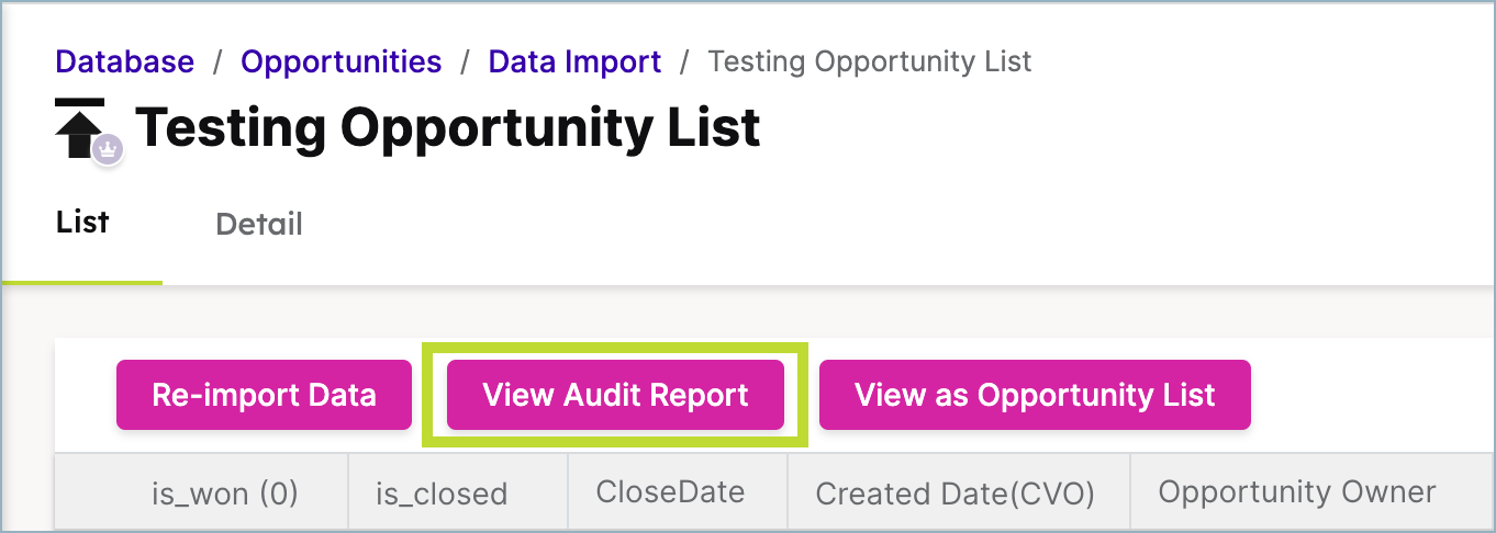 Audit_Report_Opp.png